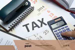 Professional Tax and Accounting Consultant Services